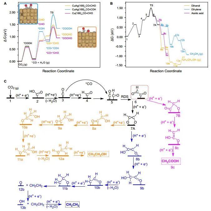 ?吳一民等Nature子刊：AgCu單原子合金和Ag納米顆粒級聯(lián)電催化CO2還原