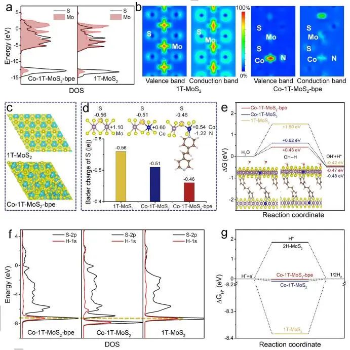 董斌團隊Angew：Co-1T-MoS2-bpe堿性介質(zhì)中電催化HER