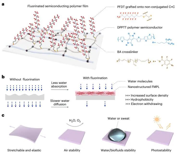 鮑哲南，最新Nature Nanotechnology！