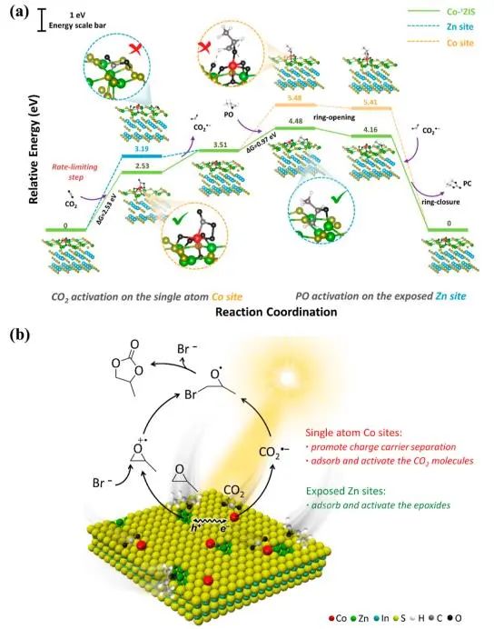 ACS Catalysis：Co修飾ZnIn2S4單分子層，構建CoZn雙中心促進光催化CO2固定