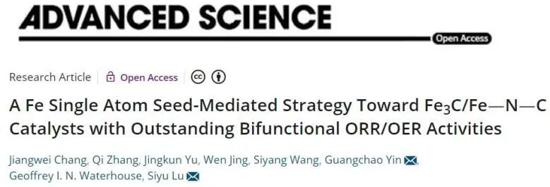盧思宇/尹廣超Adv. Sci.: Fe單原子種子介導策略，提升Fe3C/FeNC的ORR/OER雙功能催化活性