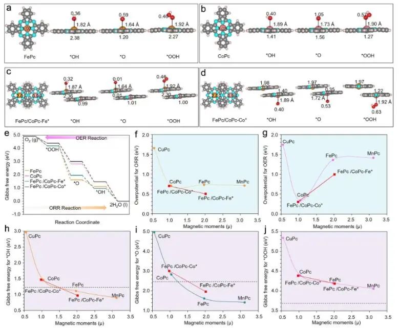 陳晨/周克斌JACS：構(gòu)建分子異質(zhì)結(jié)構(gòu)，顯著增強電化學ORR活性
