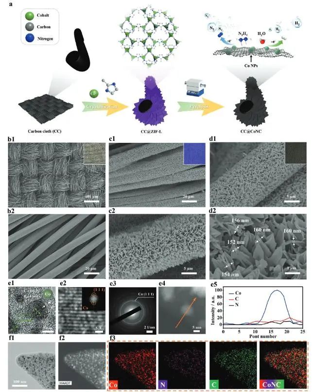 催化頂刊集錦：Nature子刊、EES、AFM、ACS Catal.、Small、Adv. Sci.等成果