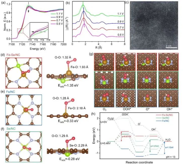 催化頂刊集錦：JACS、Angew.、AEM、ACS Catal.、ACS Energy Lett.、Small等成果