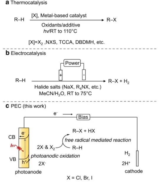 催化頂刊集錦：Nature、JACS、Nano Energy、ACS Catal.、Chem. Eng. J.等成果