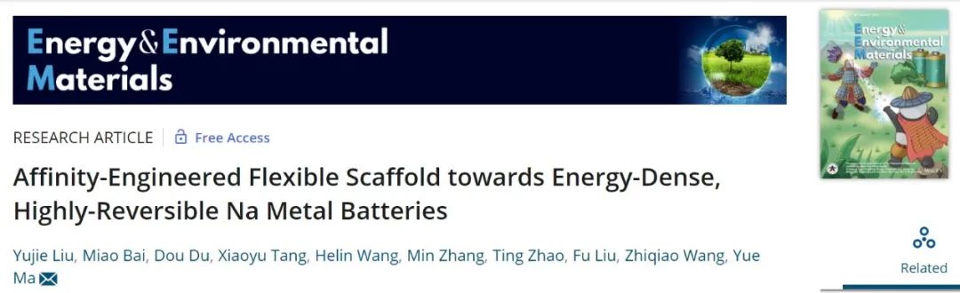 西工大馬越EEM：面向高能量/高可逆鈉金屬電池的親鈉柔性支架