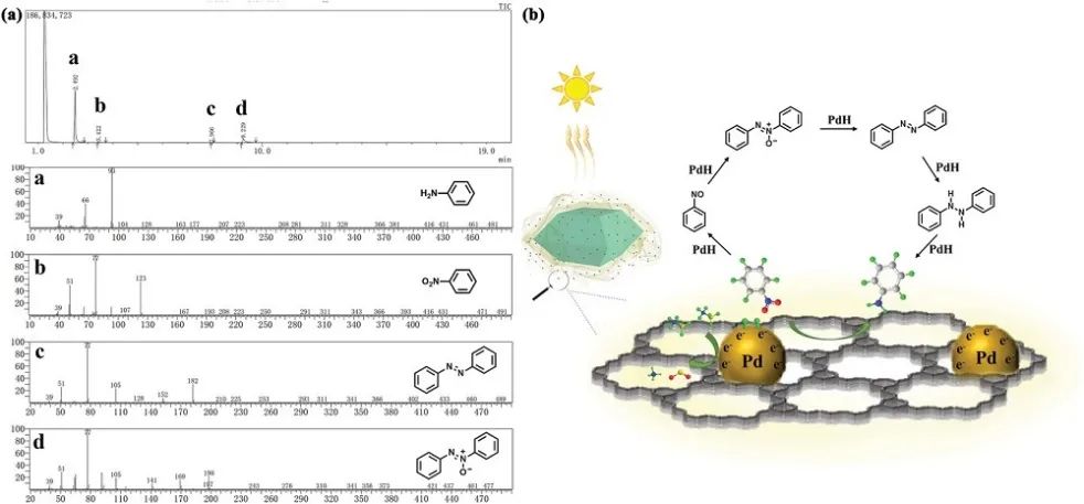 鄭大臧雙全/趙淑娜Adv. Sci.：具有可控COF殼形貌的核-殼MOF@COF雜化物助力光催化級(jí)聯(lián)反應(yīng)