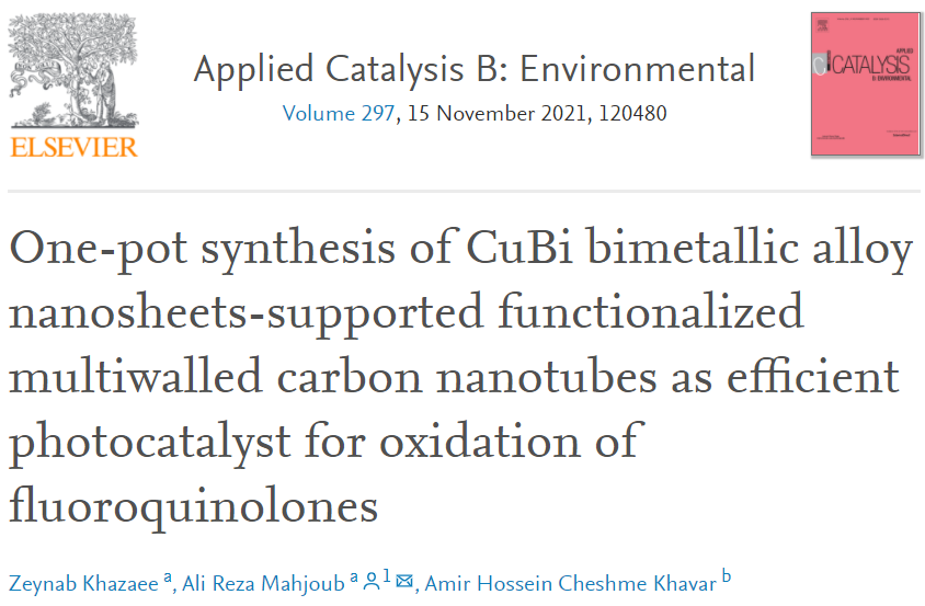 ???Appl. Catal. B.：一鍋法！MWCNTs負(fù)載CuBi雙金屬合金納米片作為降解氟喹諾酮類(lèi)的高效光催化劑