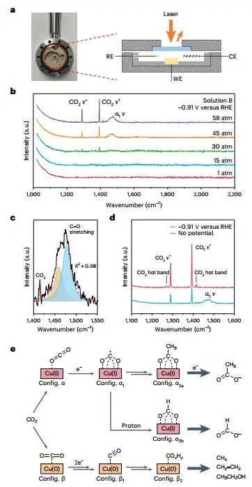 戴宏杰院士，最新Nature Catalysis！