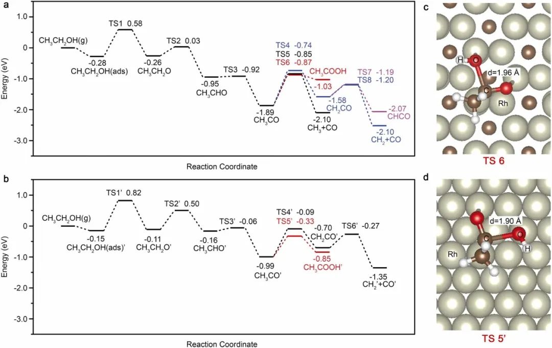 催化頂刊合集：JACS、Appl. Catal. B、AFM、Nano Energy、CEJ、ACS Nano等成果！