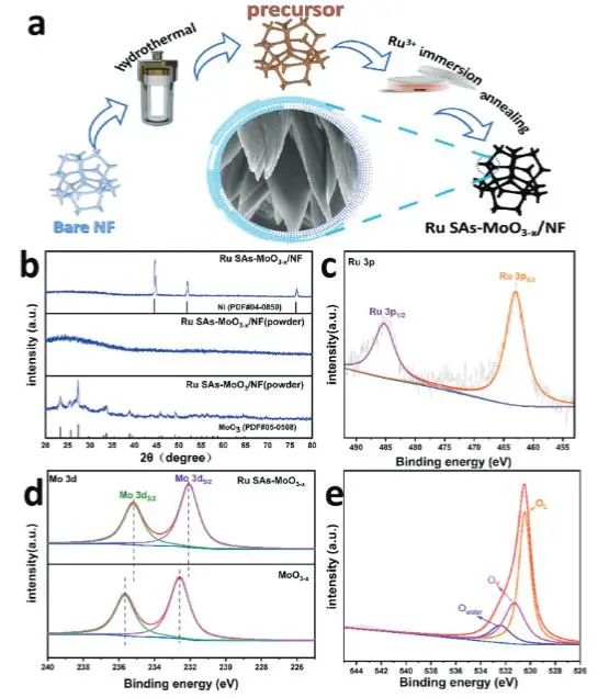 催化頂刊集錦：JACS、Angew.、AFM、ACS Catal.、Adv. Sci.、Small等成果