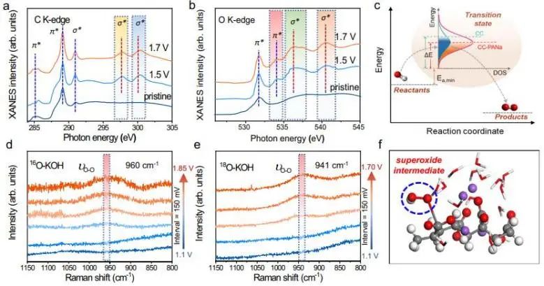 催化頂刊集錦：Nature子刊、Angew.、JACS、AEM、ACS Catalysis等成果