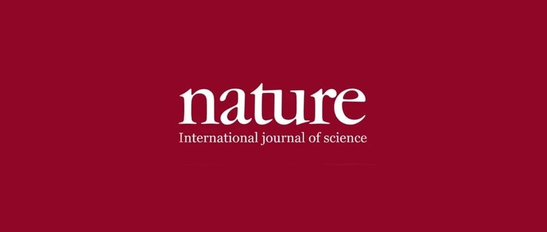 警告！Nature子刊：法拉第效率，你算對(duì)了嗎？
