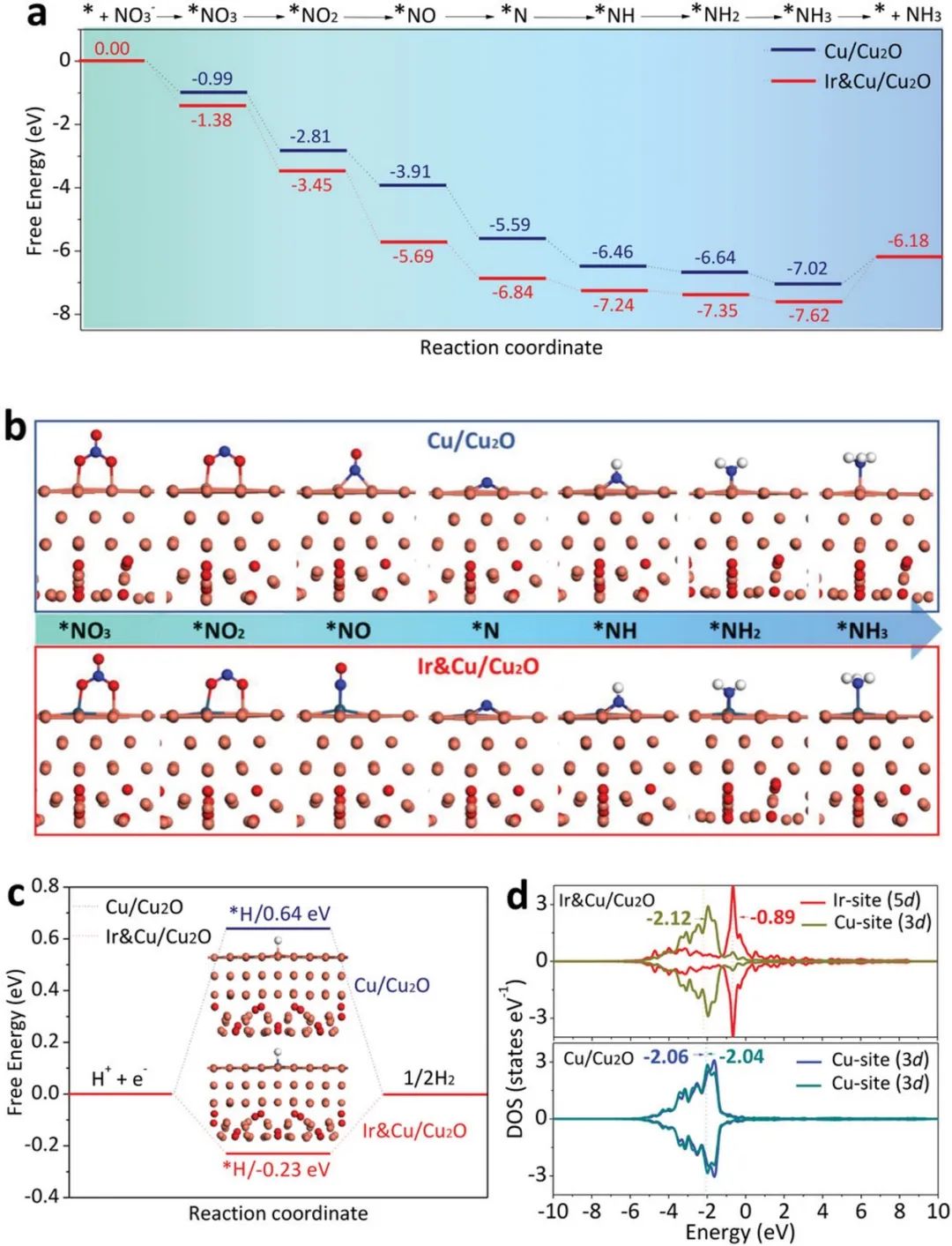 催化頂刊集錦：AM、ACS Catalysis、Small、JMCA、AFM、ACS Nano、NML等成果