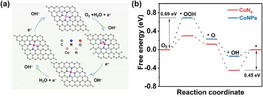 催化頂刊集錦：AM、ACS Catalysis、Small、JMCA、AFM、ACS Nano、NML等成果