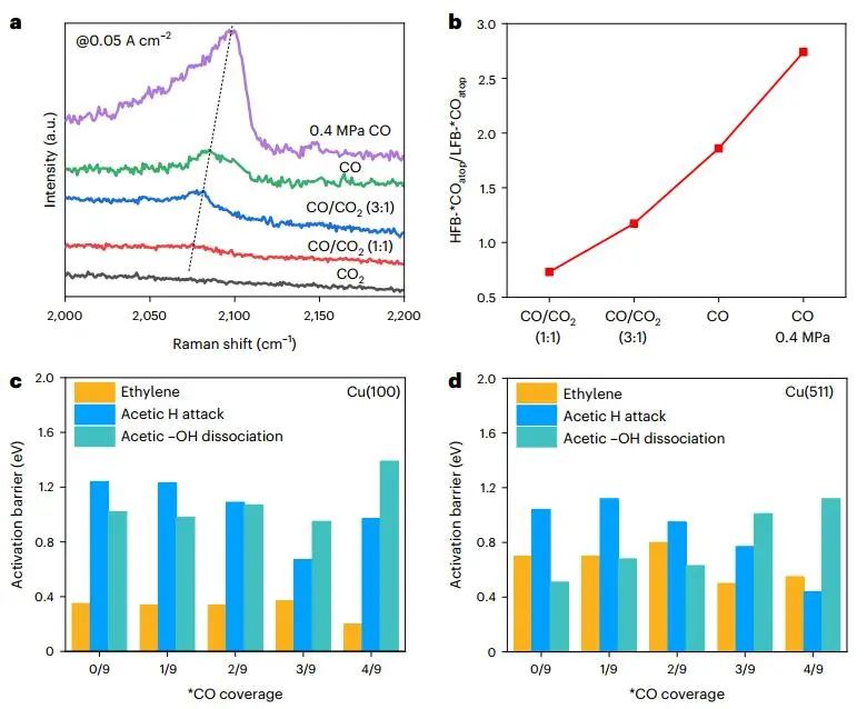 殺瘋了！大連化物所，一天里連發(fā)Science和兩篇Nature大子刊！