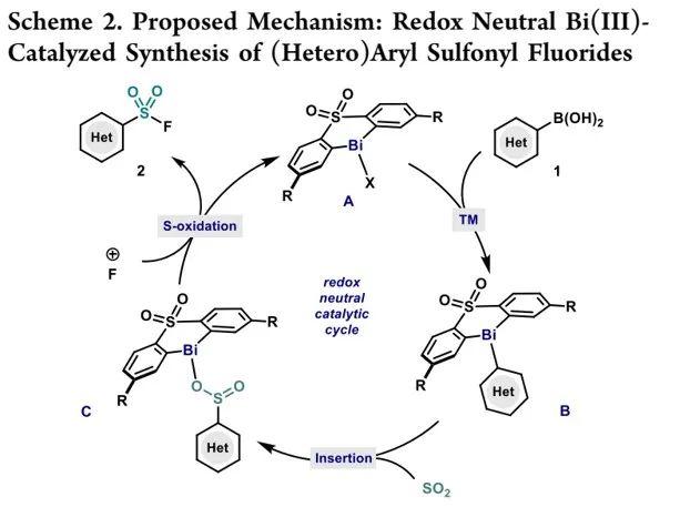JACS：金屬鉍（Bi）解鎖新玩法-揭示有機(jī)金屬催化合成芳基氟磺?；锏幕襟E