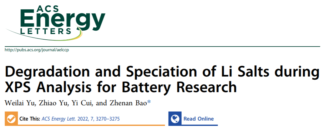 鮑哲南/崔屹等,，最新ACS Energy Letters！