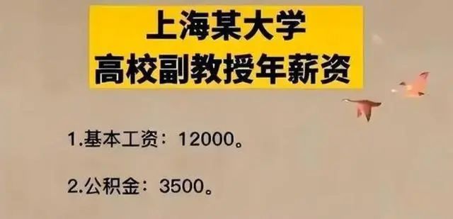 某211高校講師曬工資條，網(wǎng)友：公積金數(shù)額令人矚目...