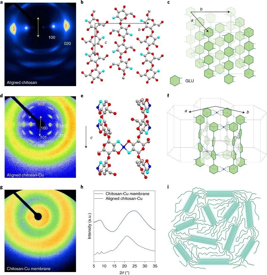 繼Science之后，胡良兵團(tuán)隊(duì)再發(fā)Nature Nanotechnology！
