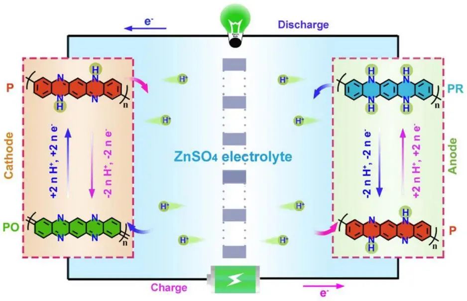 南開牛志強(qiáng)Angew: 基于中性溫和電解液的高性能對稱全有機(jī)質(zhì)子電池