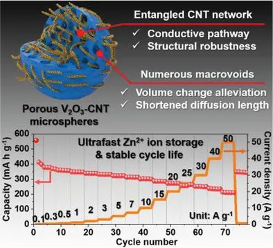 高麗大學(xué)Small Methods: 錨定大孔隙碳納米管微球來提高V2O3的電化學(xué)性能，用于超快、長(zhǎng)壽命的水系鋅離子電池