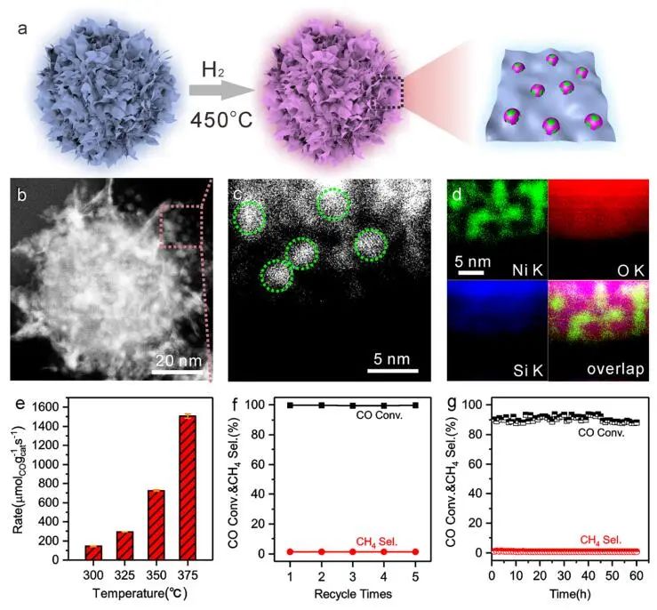 鄭南峰/傅鋼ACS Catalysis：Ninp@PS(H450)助力WGSR
