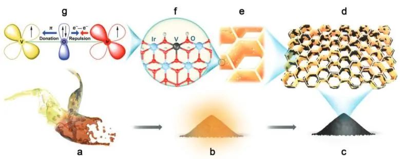 催化頂刊集錦：JACS、Angew.、AFM、ACS Catal.、Adv. Sci.、Small等成果