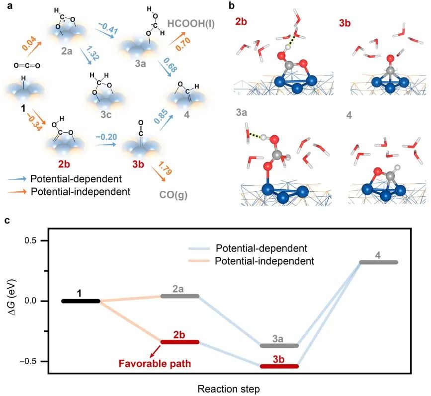 ?北大ACS Catalysis：Ni2P催化劑的多中心協(xié)同作用用于增強電化學(xué)CO2還原中的C-C偶聯(lián)