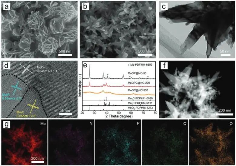 催化頂刊集錦：JACS、Angew.、AM、AEM、Adv. Sci.、Small等成果集錦！
