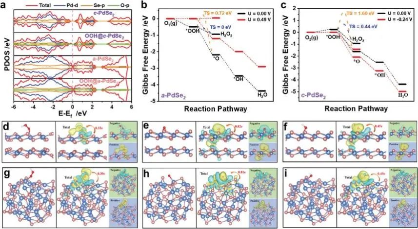 6篇Nature/Science子刊、4篇AM、3篇EES、3篇AFM等，黃小青團(tuán)隊(duì)2022年成果精選！