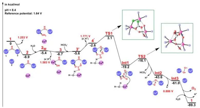 催化頂刊集錦：Nature、JACS、Nano Energy、ACS Catal.、Chem. Eng. J.等成果