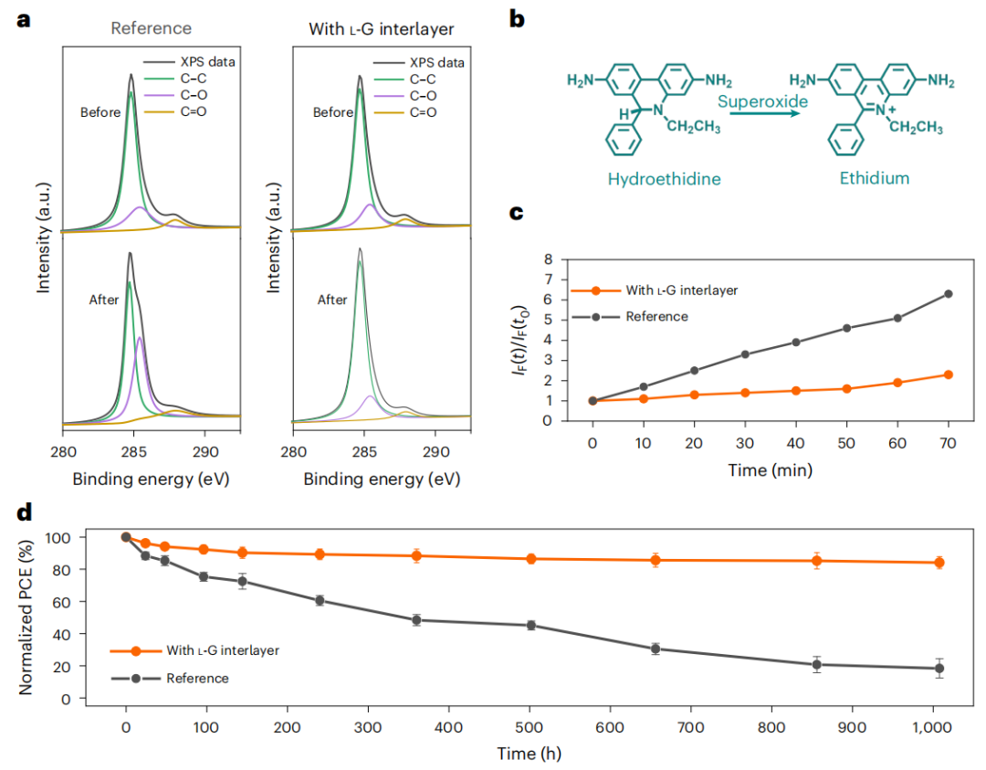 重大突破！UCLA楊陽最新Nature Sustainability！