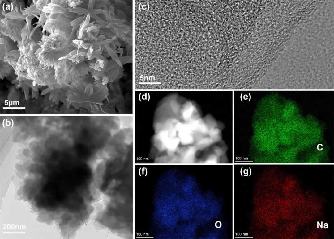 孫學(xué)良院士/郭洪/呂鵬鵬Nano Energy：功能化COF基電解質(zhì)加速Na+擴(kuò)散并抑制枝晶生長(zhǎng)