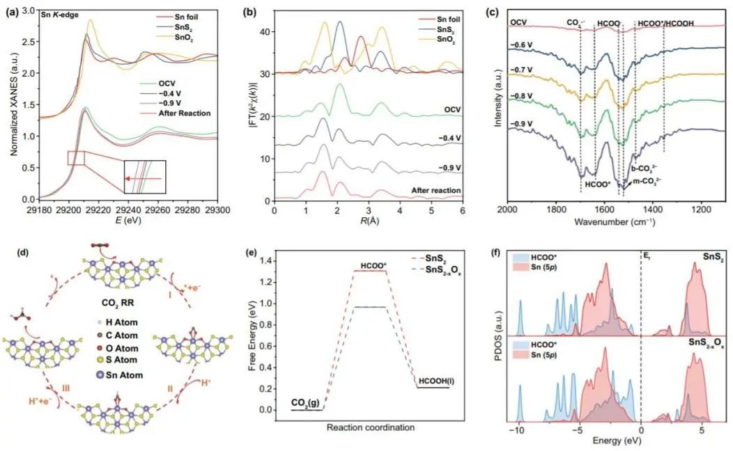催化頂刊集錦：ACS Catalysis、Small、Nano Energy、NML、Appl. Catal. B.等成果