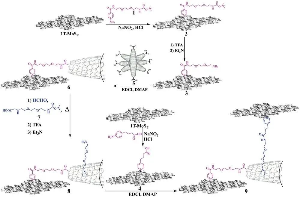 AFM：3D-2D CNH-MoS2異質(zhì)結(jié)構(gòu)的可控化學(xué)功能化及其對(duì)質(zhì)子還原的電催化活性