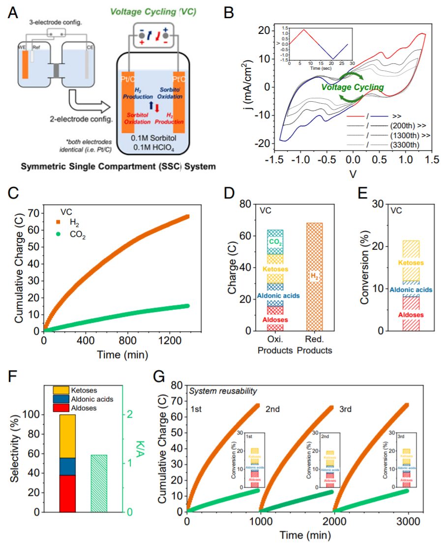 PNAS：電催化新概念！電位循環(huán)，產(chǎn)物蹭蹭蹭往上漲！