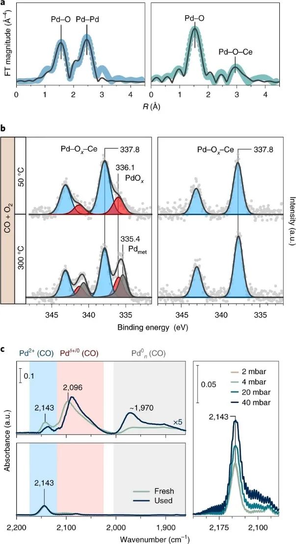 單原子催化領域，再獲一篇Nature Catalysis！