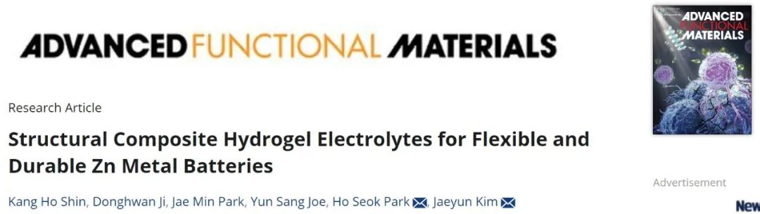 AFM：結(jié)構(gòu)復(fù)合水凝膠電解質(zhì)用于柔性耐用鋅金屬電池