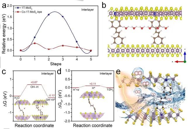 董斌團隊Angew：Co-1T-MoS2-bpe堿性介質(zhì)中電催化HER
