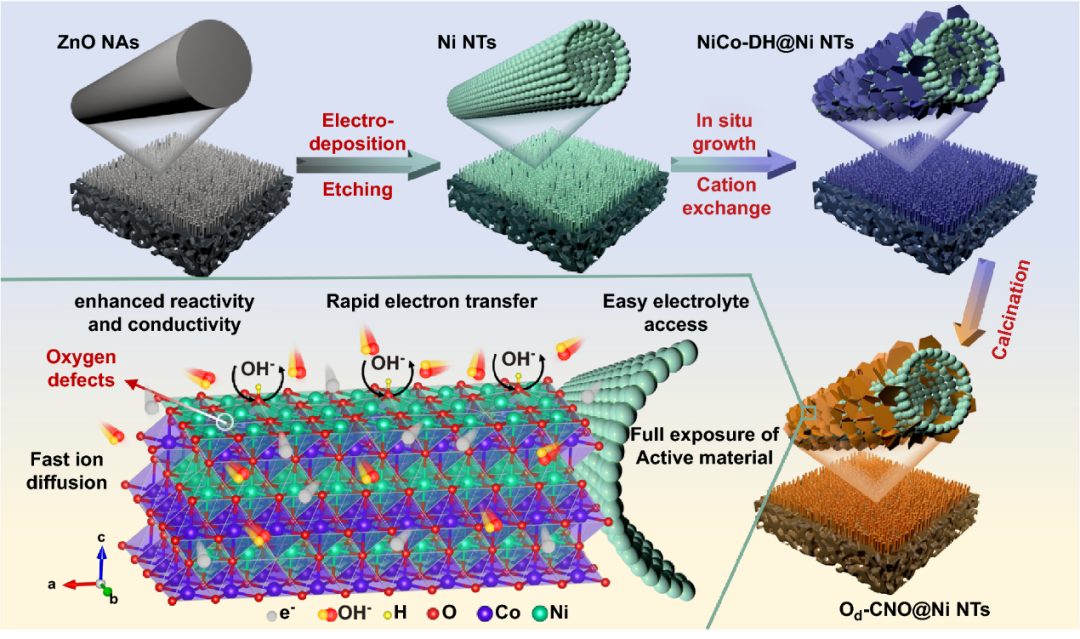 湖北大學(xué)/物構(gòu)所Nano-Micro Lett.：氧缺陷增強(qiáng)陰離子吸附能實(shí)現(xiàn)Ni-Zn電池的超高倍率和耐用正極