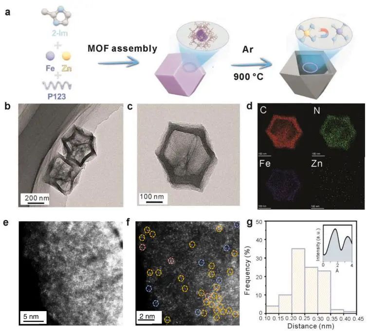 催化頂刊集錦：Nature子刊、EES、AM、EnSM、Carbon Energy、Small等成果
