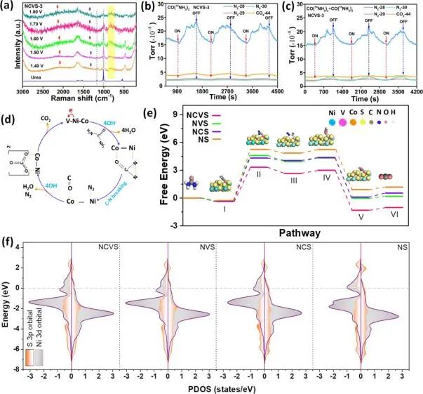 催化日報頂刊集錦：Angew./AFM/Small Methods/NML/ACS Catal./ACB等成果