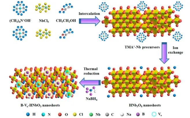 8篇催化頂刊：Nat. Commun.、Nano Lett.、ACS Nano、Small、Chem. Eng. J.等成果