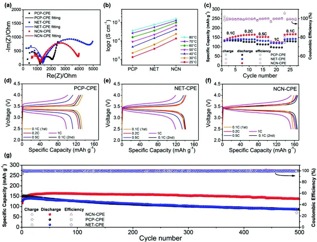 深大劉琛Adv. Sci.：陶瓷納米線骨架增強固態(tài)電解質(zhì)鋰離子傳輸性能