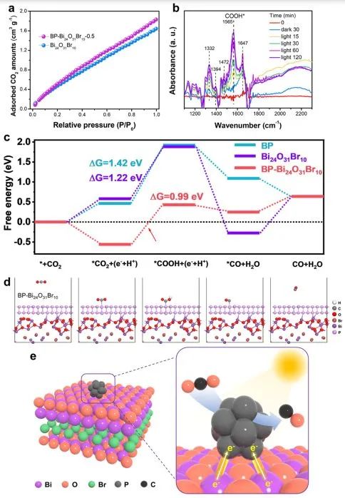 ACS Catalysis：表面和界面雙極化促進(jìn)BP-Bi24O31Br10高效光催化CO2RR