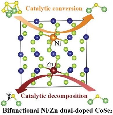 李喜飛/許云華AFM: CoSe2對(duì)鋰硫電池的雙功能催化作用：?jiǎn)螕诫s與雙摻雜