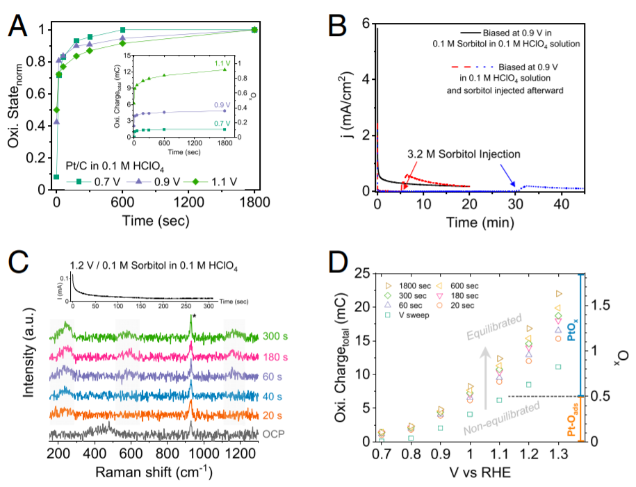 PNAS：電催化新概念！電位循環(huán)，產(chǎn)物蹭蹭蹭往上漲！