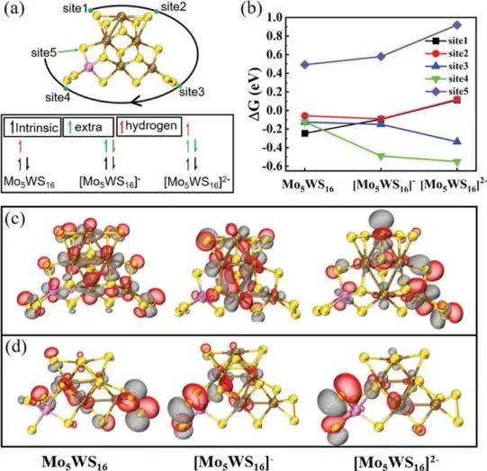 復旦Adv. Sci.: W摻雜誘導優(yōu)先電子填充，提高非晶硫化鉬大電流下HER活性
