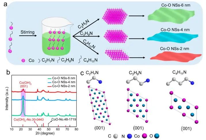 催化頂刊集錦：JACS、AEM、ACS Catalysis、ACS Nano、Small等成果